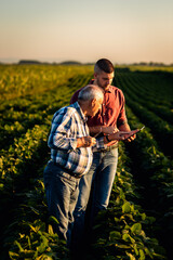 Wall Mural - Two farmers standing in a field examining soy crop and using tablet.