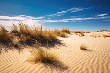 Poster - Desert Dunes