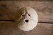 Coconut shell with three holes on a wooden background.