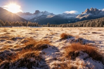 Wall Mural - Snowy Alpine Meadow