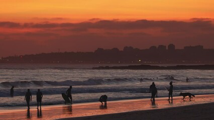 Wall Mural - silhouettes of people walking on sandy beach and surfers at the sunset background on the atlantic co