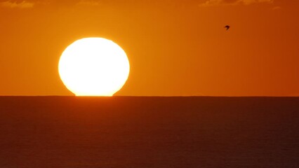 Wall Mural - beautiful evening sunset with big sun in the atlantic ocean at portugal coast.