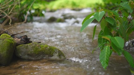 Wall Mural - waterfall stream and moss plant growing on rock with trees leaves to clear flow water in green jungle garden or forest on nature at Ka Teng Cheng Khao Laem National Park for landscape on slow motion