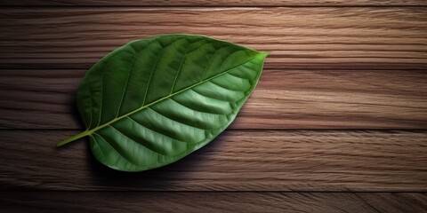 Wall Mural - Flat lay photo brown wooden and green leaf around it, copy space background. Generative AI image weber.