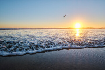 Seagulls fly on beach sund at atlantic ocean sunset with surging waves at Fonte da Telha beach, Costa da Caparica, Portugal