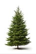 © AIGen - Isolated Fake Christmas Tree on White Background. Realistic Evergreen Fir and Pine Tree for New Year Celebration. Big Faux Christmas Tree for Indoor Decoration: Generative AI
