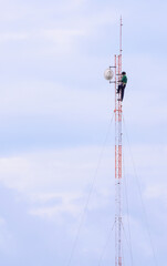 Wall Mural - engineer work on communication tower