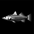 Skeleton Snook Fish Logo template. unique and fresh skeleton of snook fish. great to use as your snook fishing activity. 