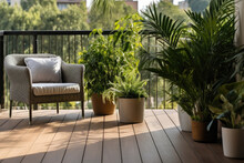 Beautiful Balcony Or Terrace With Wooden Floor, Chair And Green Potted Flowers Plants. Cozy Relaxing Area At Home. Sunny Stylish Balcony Terrace In The City