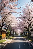 Fototapeta Sawanna - cherry blossom in japan street.