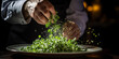 © Marco Attano - a chef's hand sprinkling microgreens on a gourmet dish, upscale kitchen environment, dramatic lighting