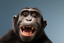 Funny Photos Of Monkeys Taking Selfies