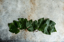 Overhead View Of Green Vine Leaves On A Table