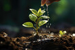 Watering a plant that is growing, symbolizing nurturing, care, and the process of growth and development. Generative Ai.