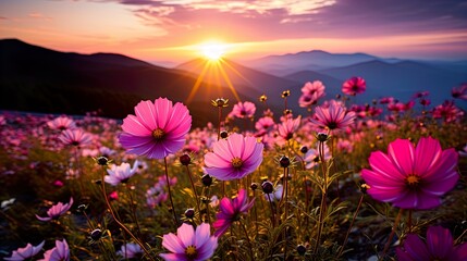 Photo focus macro detailed Sunset over the mountain with flower colorfull Generate AI