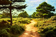 Romantic, kitschy heathland with a sandy path through the heather bushes, made with generative ai