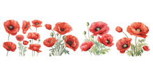 Watercolor Red Poppy Clipart For Graphic Resources