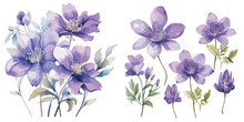 Watercolor Purple Flower Clipart For Graphic Resources