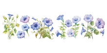 Watercolor Morning Glory Flower Clipart For Graphic Resources