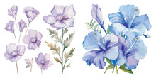 Watercolor Blue Flower Clipart For Graphic Resources