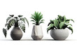 Set of different vase and interior plant pots. Generative ai design.
