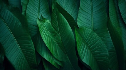 Aufkleber - Generative AI : abstract green leaf texture, nature background, tropical leaf