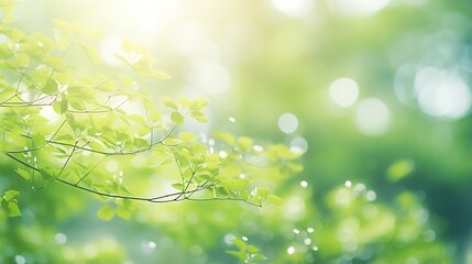 Fototapete - Generative AI : Beautiful Nature defocused bokeh green background, texture. Blurred crown trees in garden close-up. Natural spring backdrop With Copy Space for design