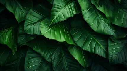 Aufkleber - Generative AI : abstract green leaf texture, nature background, tropical leaf