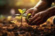 Leinwandbild Motiv Close-up of a persons hand planting a seed in the soil  - stock photography concepts