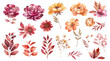 Fall floral wreath, autumn flowers and leaves.Watercolor orange leaves and wildflower clipart for autumn. Invitation or floral card design. PNG clipart.