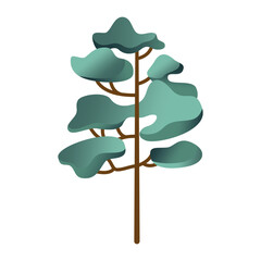 Fototapete - Collection of green deciduous and evergreen forest plants. Botanical set of bare trees and ones with leaves and lush crowns. Flat vector illustration isolated on white background