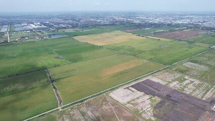 Wall Mural - aerial view from flying drone of Field rice with landscape green pattern nature background, top view field rice
