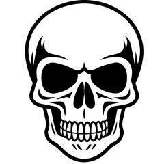 Wall Mural - outline vector skull in black