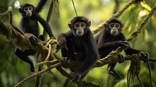  A Group Of Monkeys Hanging On A Rope In A Tree.  Generative Ai