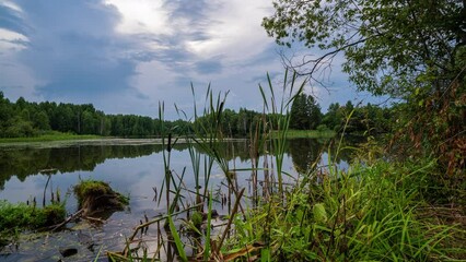 Wall Mural - Beautiful Landscape In Sunny Spring Day Timelapse moving over bog lake in nature in early summer morning. Cloudy Sky With Clouds. Natural Background. Time-lapse 4K.