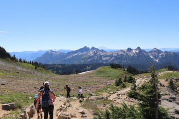 mt rainier national park hiking path