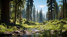  A Stream Running Through A Forest Filled With Tall Pine Trees.  Generative Ai