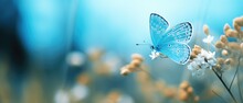 Autumn Morning With Pretty Blue Wing Butterfly In Outdoor Garden Sitting On Flowers With Wings Fluttering, Panoramic Macro Closeup, Bokeh Blur - Generative AI