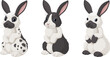 Black and white rabbit breeds. English spotted, Danish and Californian rabbits. Cute bunnies vector illustration.