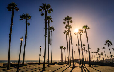 Wall Mural - Palm tree silhouettes with a sun burst at sunset in Huntington Beach, California