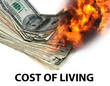 Cost of living - US currency on fire
