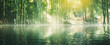 Bamboo spa background. green botanical illustration with space for text. bamboos plants with reflection in water. Forest border on blurred sunny bokeh background