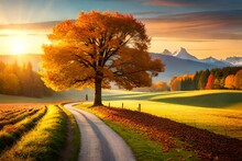 Autumn Landscape With Trees And Road