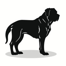 Mastiff Silhouettes And Icons. Black Flat Color Simple Elegant Mastiff Animal Vector And Illustration.