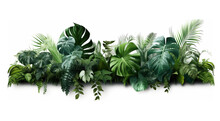 Tropical Leaves, Plants, Bushes, Natural Floral Arrangement  Cutout Transparent Backgrounds . Generative AI