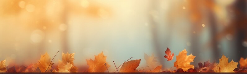 Autumn forest banner 