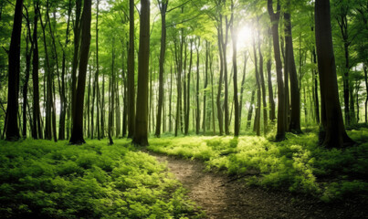  Forest landscape. Summer nature. Natural background. For banner, postcard, book illustration. Created with generative AI tools