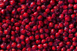 Lots of sour cherry pits as a background closeup. Texture of dried cherry kernels. Top view