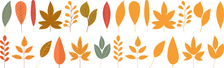 Wall Mural - autumn tree leaves on white background vector