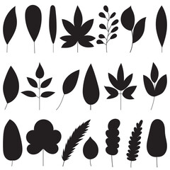 Wall Mural - set silhouette leaves of trees on white background vector